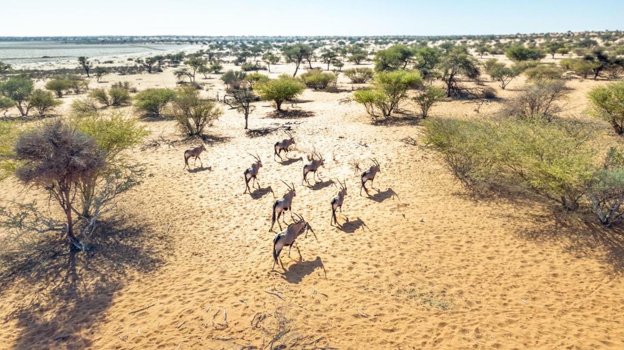 Bagatelle Kalahari Game Ranch Villa Hardap Exteriör bild